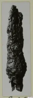 Heavily corroded iron object, long and knobbly, shown upright on a photo card mount