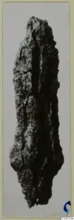 Corroded elongated iron object, pointed at the upper end, shown upright on a pale mount.