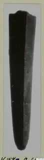 Bronze nail with a flattened head, tapering to a rounded point