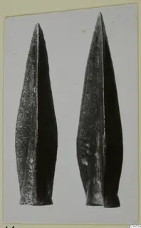 Two long, pointed metal blades with tapering tips, shown side by side against a pale background.
