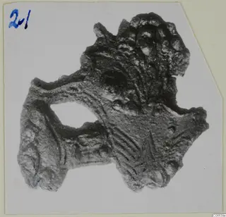 Corroded bronze mounting fragment from Vouni, photographed on a card mount