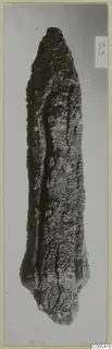 Corroded iron arrowhead from Vouni, pointed at one end, photographed against a grey background