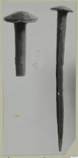 Two nails with flat domed heads, one short and one long tapering, photographed on a pale grey background.