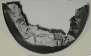 Curved fragment of a bowl from Vouni, with a dark outer band and a pale, rough inner surface