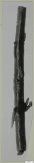 Bronze rod fragment with small projections, from Vouni
