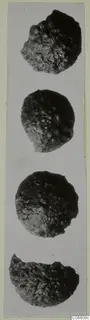 Four corroded bronze fragments stacked in a vertical row, shown on a light grey background