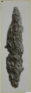 Corroded iron arrowhead from Vouni, photographed upright