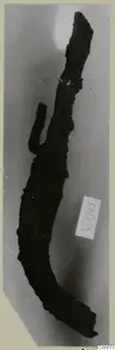 Corroded iron object from Vouni Tomb 1-16, long and curved with a short branch projecting from its upper side.