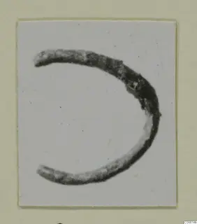 Curved dark fragment, open C-shape with tapering ends, shown on a white card mount