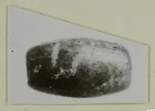 Bead from Vouni T. 1-16, photographed on a white card