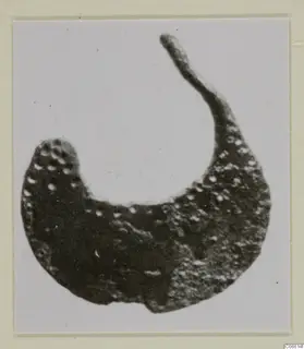 Crescent-shaped find fragment from Vouni with a pitted surface and one thin curved end, photographed on a card mount