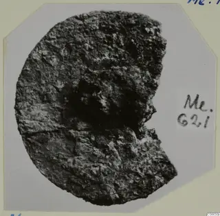 Corroded bronze fragment, roughly circular with one side broken away, shown on a photo mount