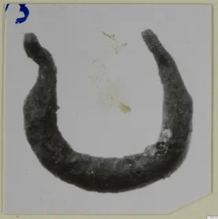Bronze earring from Vouni: an open hoop with tapering ends, dark and corroded in appearance.