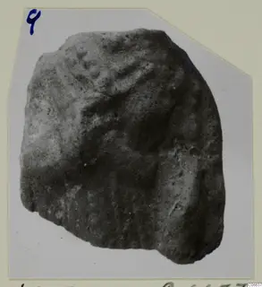 Fragment of a terracotta figurine from Vouni, shown in close view on a photo card with a handwritten number.