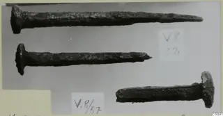 Three corroded metal nails with flat round heads and long tapering shanks, photographed on a pale background