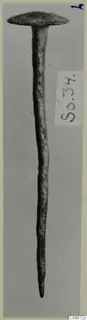 Corroded metal nail with a flat, disc-shaped head, photographed upright against a grey background, from Soli.