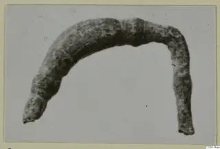 Bronze personal adornment: a curved, corroded metal object bent into an open arch, shown alone