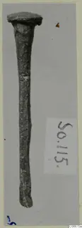 Iron-looking nail with a flat round head, photographed upright on grey card, from the Soli finds series