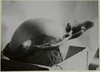 Red Polished II jug lying in a wooden crate, held in place with rope.