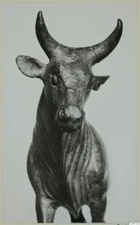 Bronze sculpture of a bull, head and forequarters seen from the front