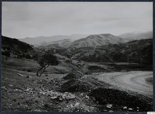 Landscape at Vouni with rolling hills, a lone tree and a dirt road curving across the foreground.