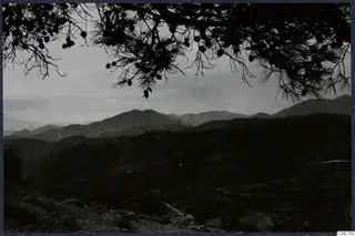 Pine branches with cones frame a view across hills and mountains at Vouni