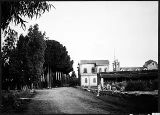 Unpaved road lined with tall trees, with a whitish two-storey building and a building with a bell tower at Nicosia