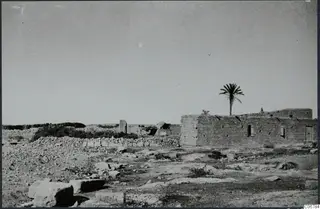 Temple of Aphrodite: a stone building with a palm tree behind its roof, with low walls and scattered stones in the foreground