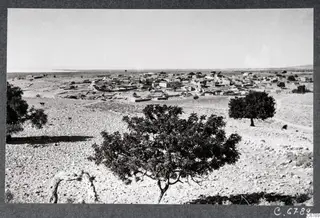 Kouklia village seen across a stony plain, with trees in the foreground