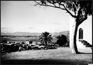 Buildings, palm trees and cacti on a flat plain, with hills along the horizon, at Nicosia.