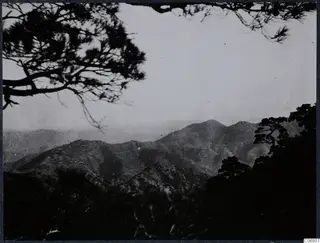 Mountain landscape seen through pine branches at Machairas, Troodos.