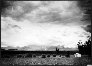 Open plain with scrubby bushes and distant hills under heavy clouds, with a small shed at the right edge.