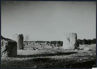 Ruined stone columns standing in an open field at Salamis, with low walls and scrub beyond.