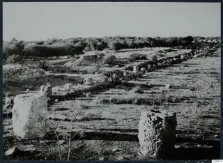 Ruined stone walls and weathered stone blocks among scrub at Salamis, with a line of trees behind.