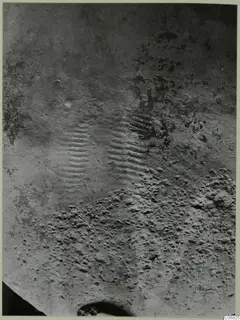 Close view of a pottery surface with two patches of horizontal ridges, of a Red Polished III Bowl