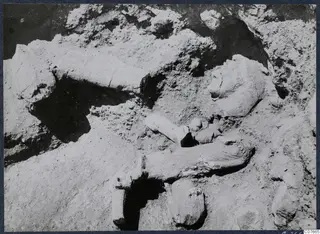 Large stone sculpture fragments lying in excavated soil at Vouni Palace