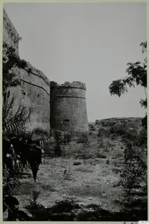 Stone fortification wall and round crenellated tower among grass, shrubs and trees