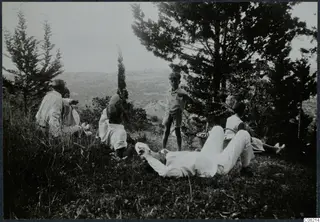 People resting on a grassy hillside among tall cypress and pine trees, with a hazy view of hills beyond.