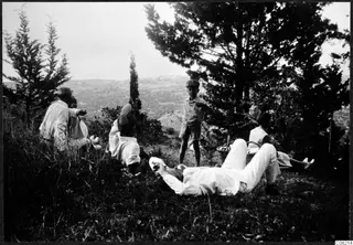 People resting on a grassy hillside among pine and cypress trees, with a hazy view of hills and plain below.