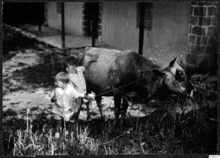 Two children holding a rope attached to a cow in front of a plastered building.