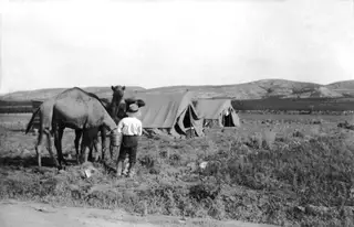 Camels standing beside two canvas tents on dry, open ground at Oura, with a man holding a bucket.