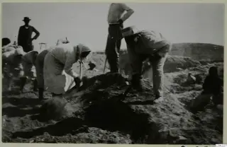 People digging with spades and tools at an excavation