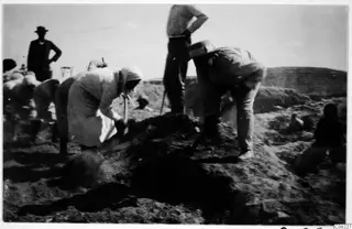 People digging with spades at an excavation, with a mound of loose earth in the foreground