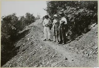 Three people standing on a stony hill track between bushes and trees.