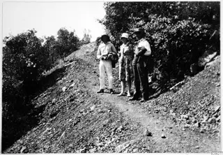 Three people standing on a stony dirt path that climbs a bushy hillside.