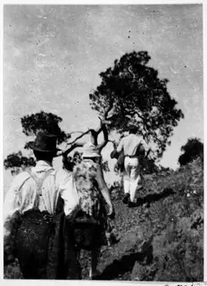 Three people walking uphill on a stony slope past a large tree at Machairas.