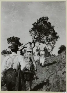 Three people walking uphill past a tree on a hillside at Machairas, seen from behind