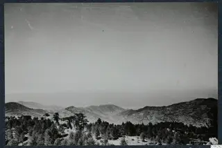 Mountains and hills rising behind a dense band of trees, under a pale hazy sky.