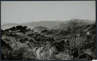 Landscape of wooded hills and mountain ridges near Troodos, with terraced slopes and bare trees in the foreground.