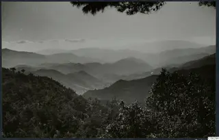 Layered hills and mountains seen from a wooded slope, with pine branches framing the top of the view.